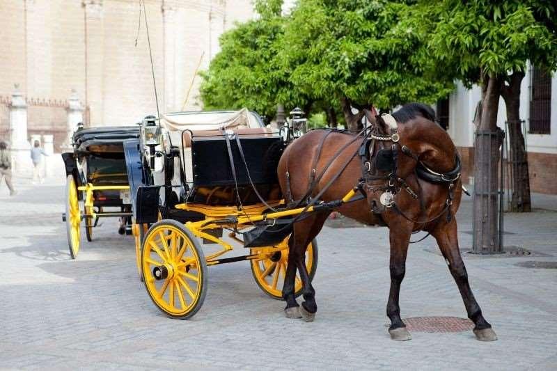 Hotel Dona Maria Seville Servis gambar
